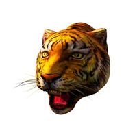 HitCars Обратная связь