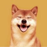 Shiba Inu
