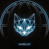 WireCat VPN