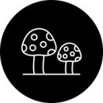 Грибной бот