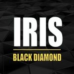 Iris | Black Diamond