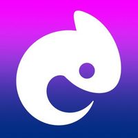 Chameleon — The Game