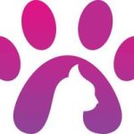 PawsCombat tApp Game