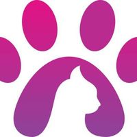 PawsCombat tApp Game