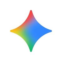 ✦ Google Gemini