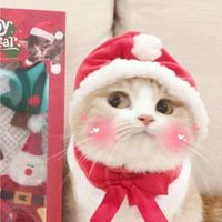 Темы | Языки | Стикеры