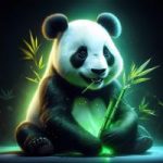 VPN Panda
