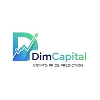 DimCapital