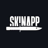 SKINAPP — CS2 SKINS & CASES