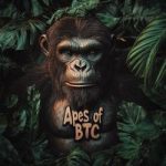 Apes of BTC