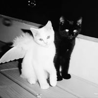 ТУТ ВСЕ ЯЗЫКИ С РЕКЛАМЫ